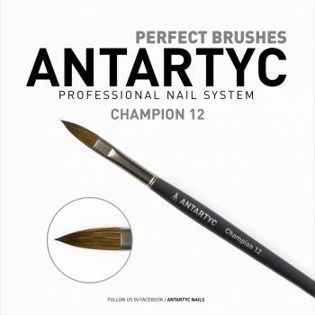 Champion 12  ( Premium Acryl Pinsel )