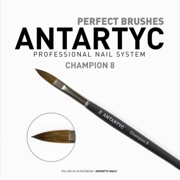 Champion 8  ( Premium Acryl Pinsel )